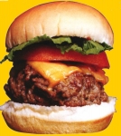 medium_hamburger.3.jpg
